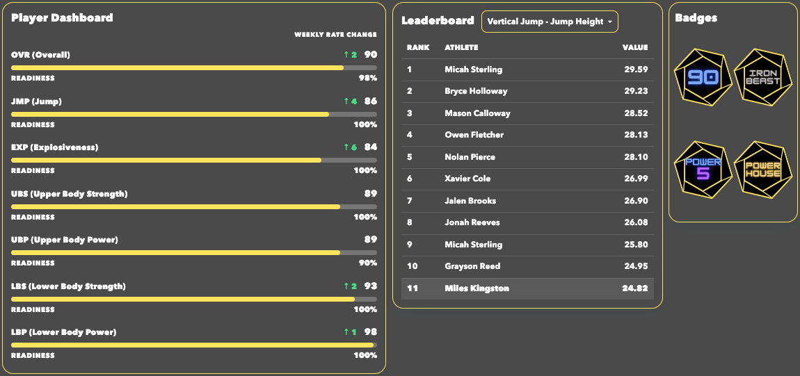 Coach dashboard overview preview.